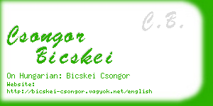 csongor bicskei business card